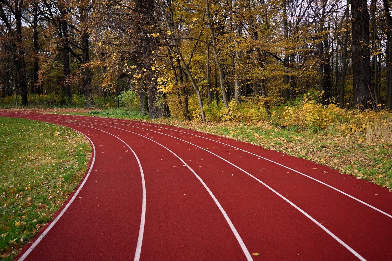 Walking Track Flooring